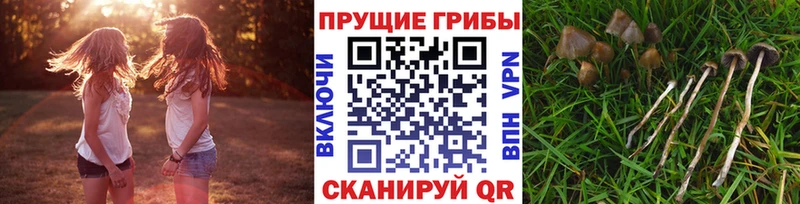 Купить закладки Феодосия Галлюциногенные грибы Magic Shrooms